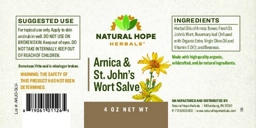 Arnica & St. John's Wort Salve - Image 2