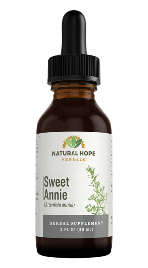 2024-NHH-Sweet-Annie-1oz-final