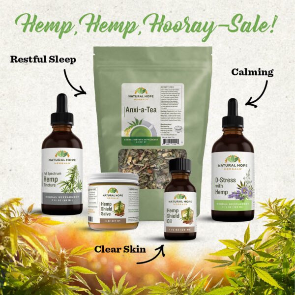 Square with Natural Hope Herbals Axi-e-tea, D-stressed, hemp shield oil and salve and full spectrum hemp tincture