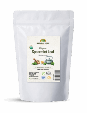 Spearmint Leaf